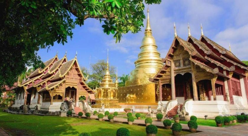 The Y Khách sạn